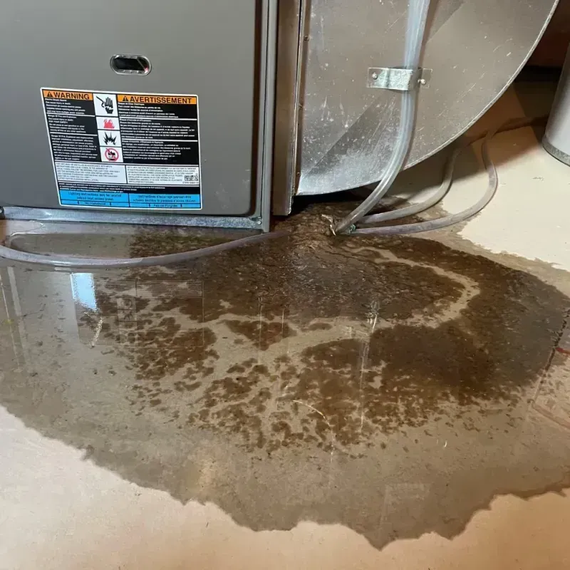 Appliance Leak Cleanup in Bridgeville, DE